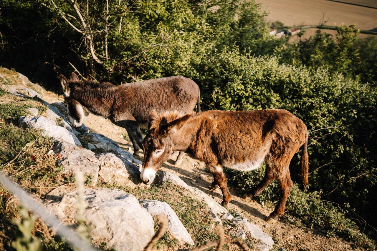 מלון Pimbo Le Bivouac Bivouacbyalain מראה חיצוני תמונה